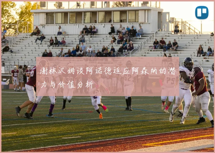 谢林汉姆谈阿诺德适应阿森纳的潜力与价值分析
