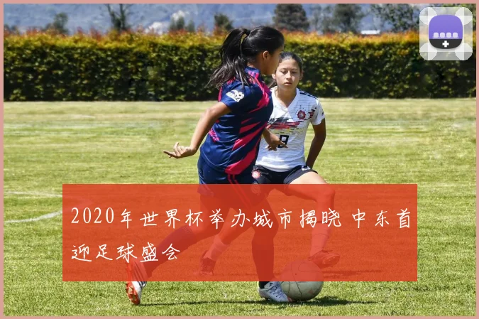 2020年世界杯举办城市揭晓 中东首迎足球盛会